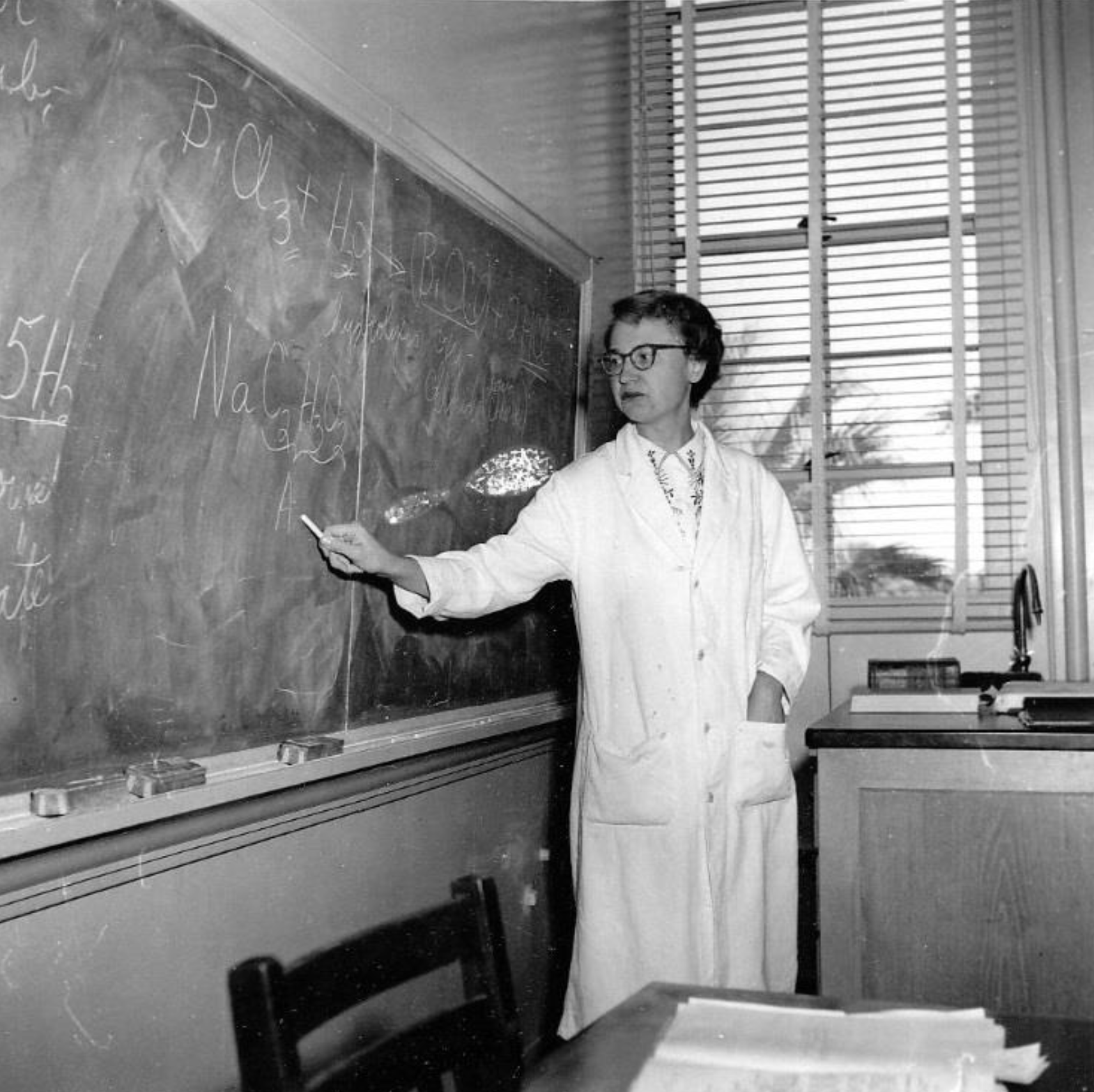 Image of Dr. McLean teaching