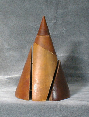 Cone with sections.tif