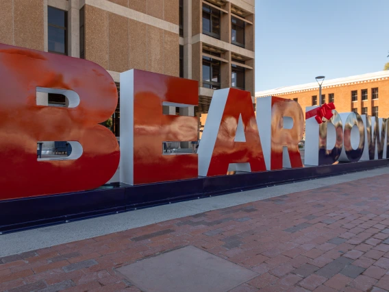 Bear Down sign