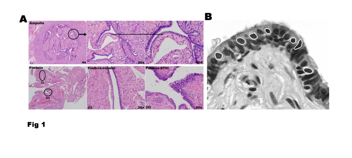 Data Science Applications Research Figure