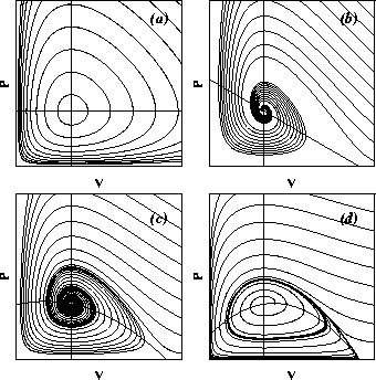 Phase portraits of classical two-species, constant-environment predator-prey population interactions.